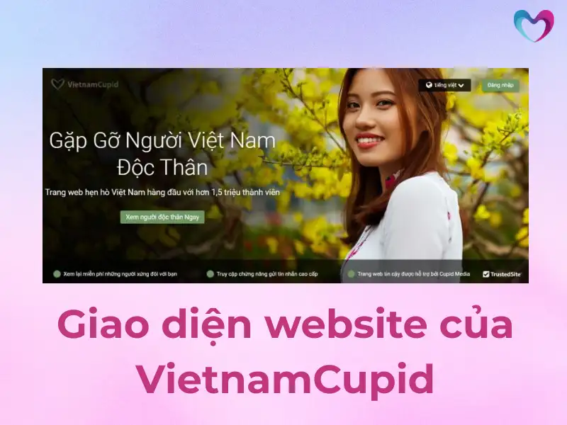 vietnamcupid-la-gi