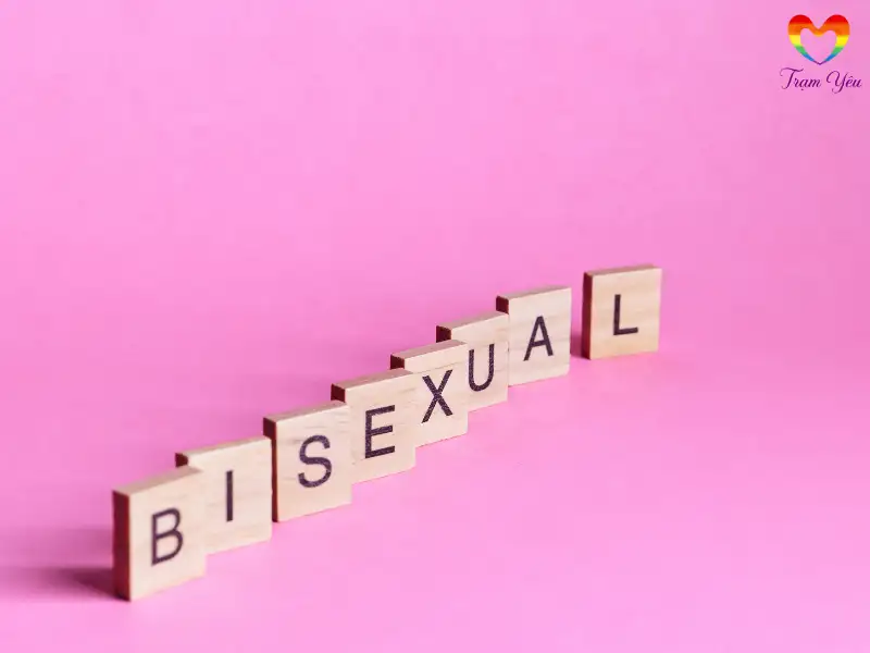 nhung-hieu-lam-pho-bien-ve-bisexual