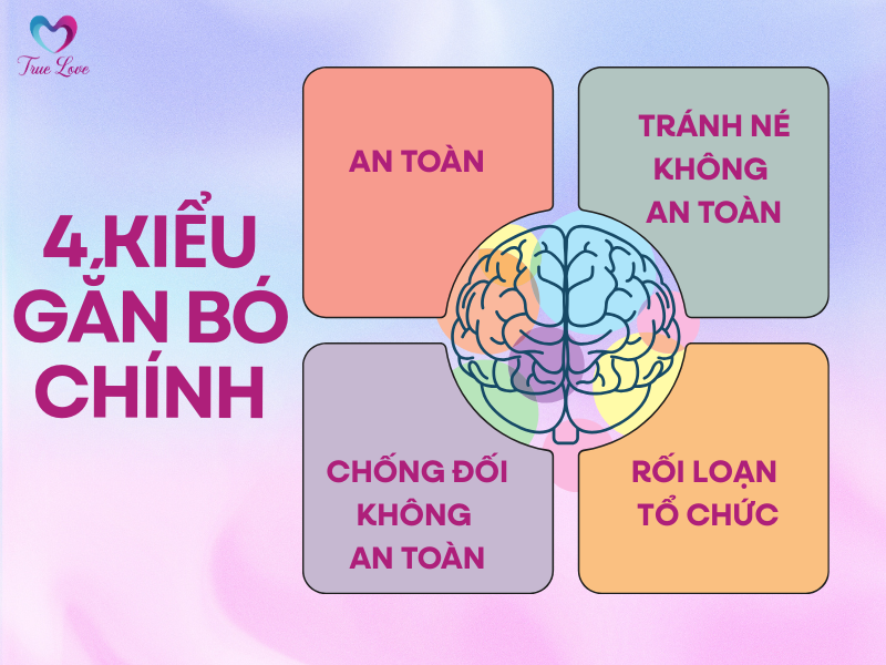 thuyet-gan-bo 