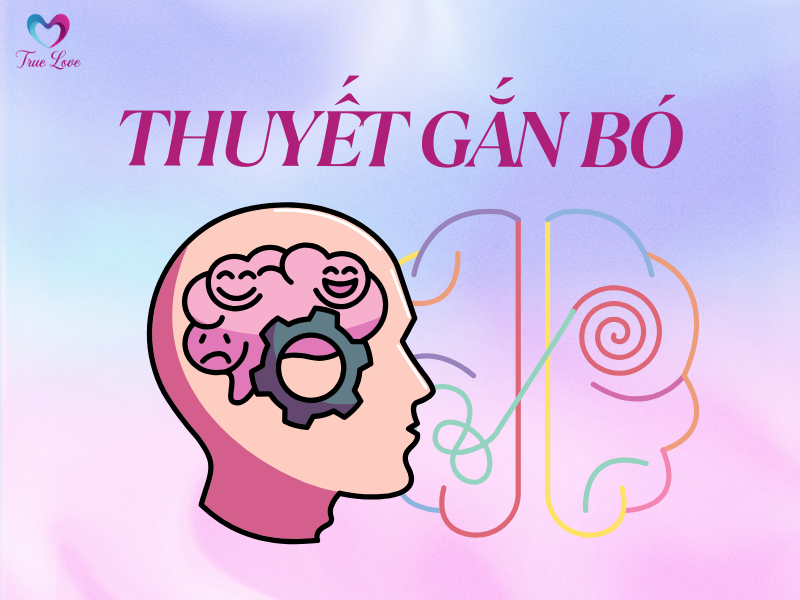 thuyet-gan-bo 