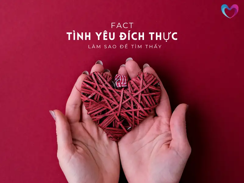 tinh-yeu-dich-thuc