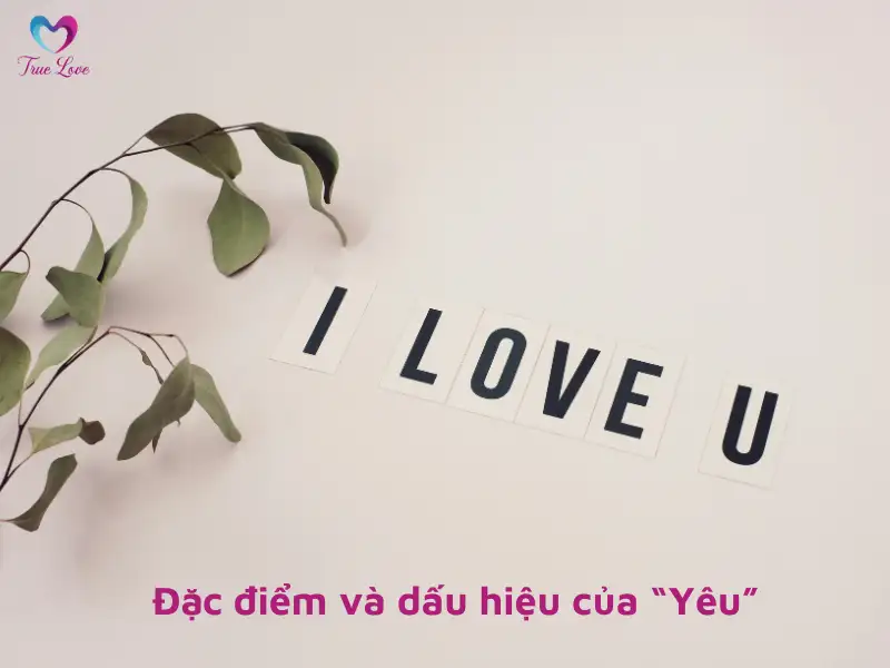 su-khac-nhau-giua-thich-va-yeu